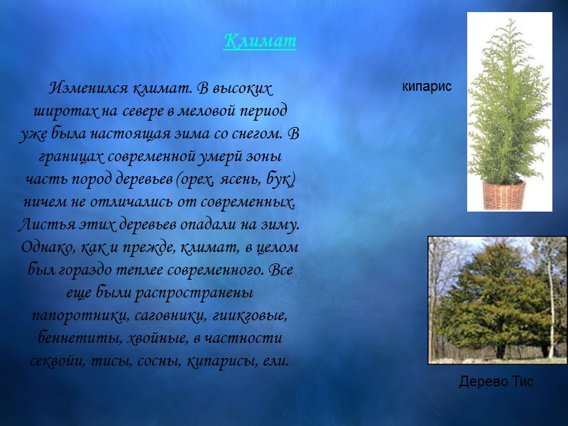 Изменился климат. В высоких широтах на севере в меловой период уже была настоящая зима